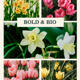 Flower Bulb Package: Bold & Bio