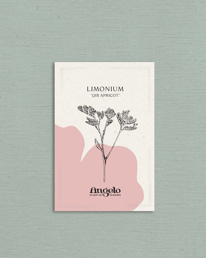 Limonium sinuatum &