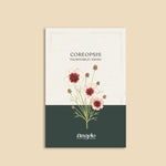Coreopsis hybrida 'incredible! swirl'-Angelo