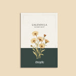 Calendula officinalis 'sunset buff'-Angelo
