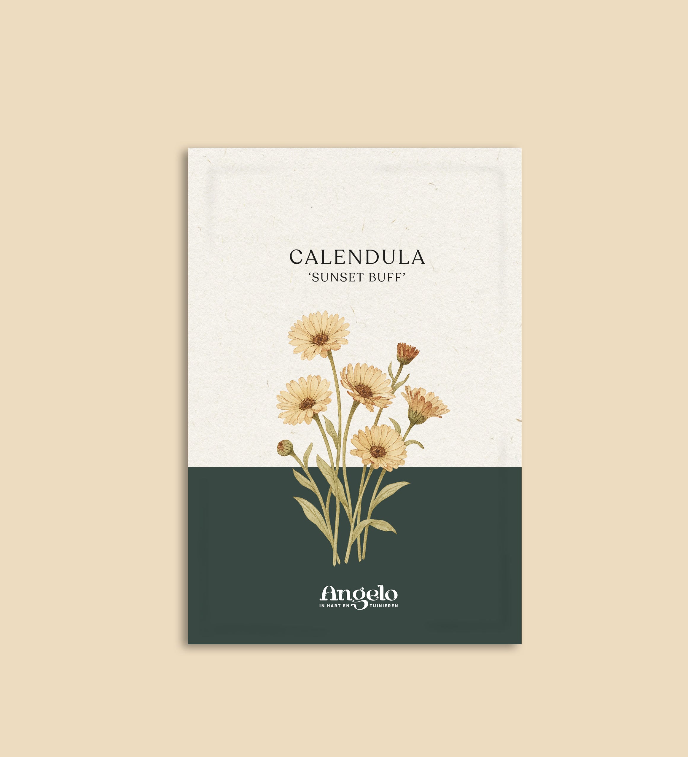 Calendula officinalis 'sunset buff'-Angelo