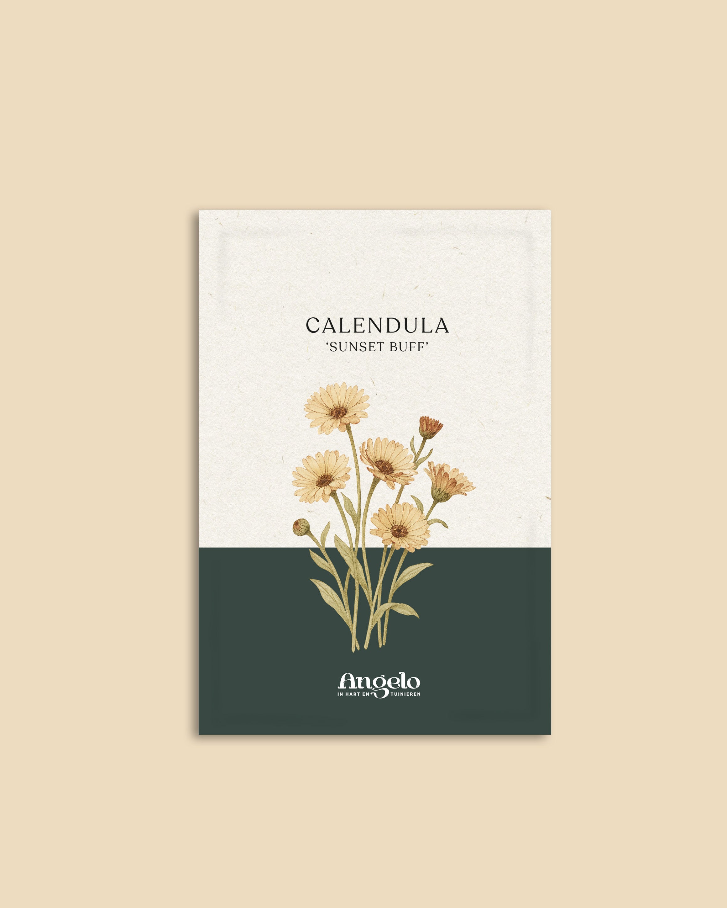 Calendula officinalis 'sunset buff'-Angelo