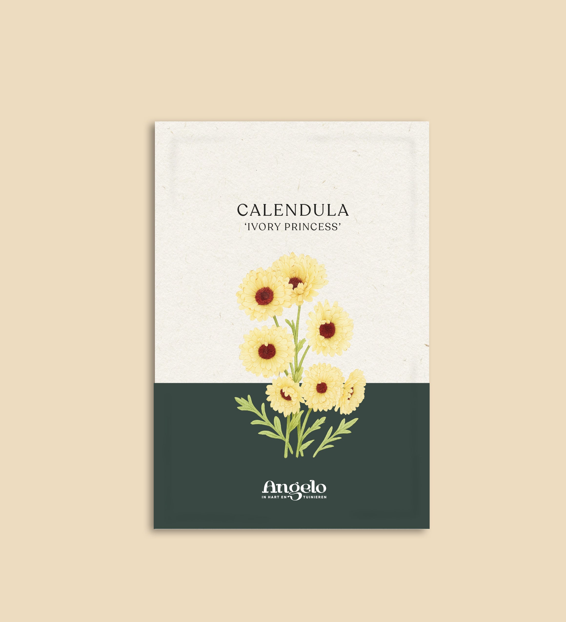 Calendula officinalis 'ivory princess'-Angelo