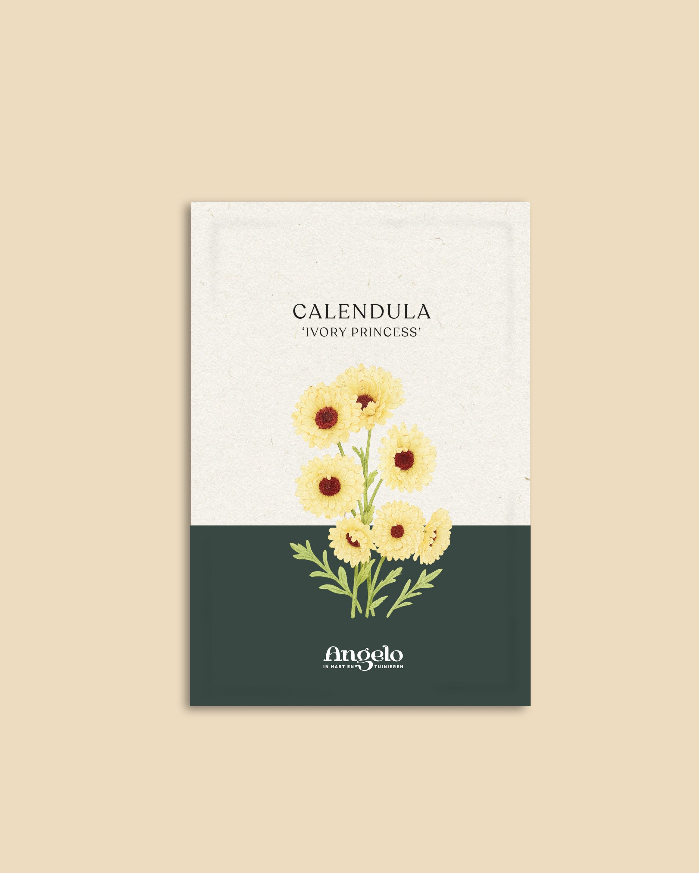 Calendula officinalis 'ivory princess'-Angelo