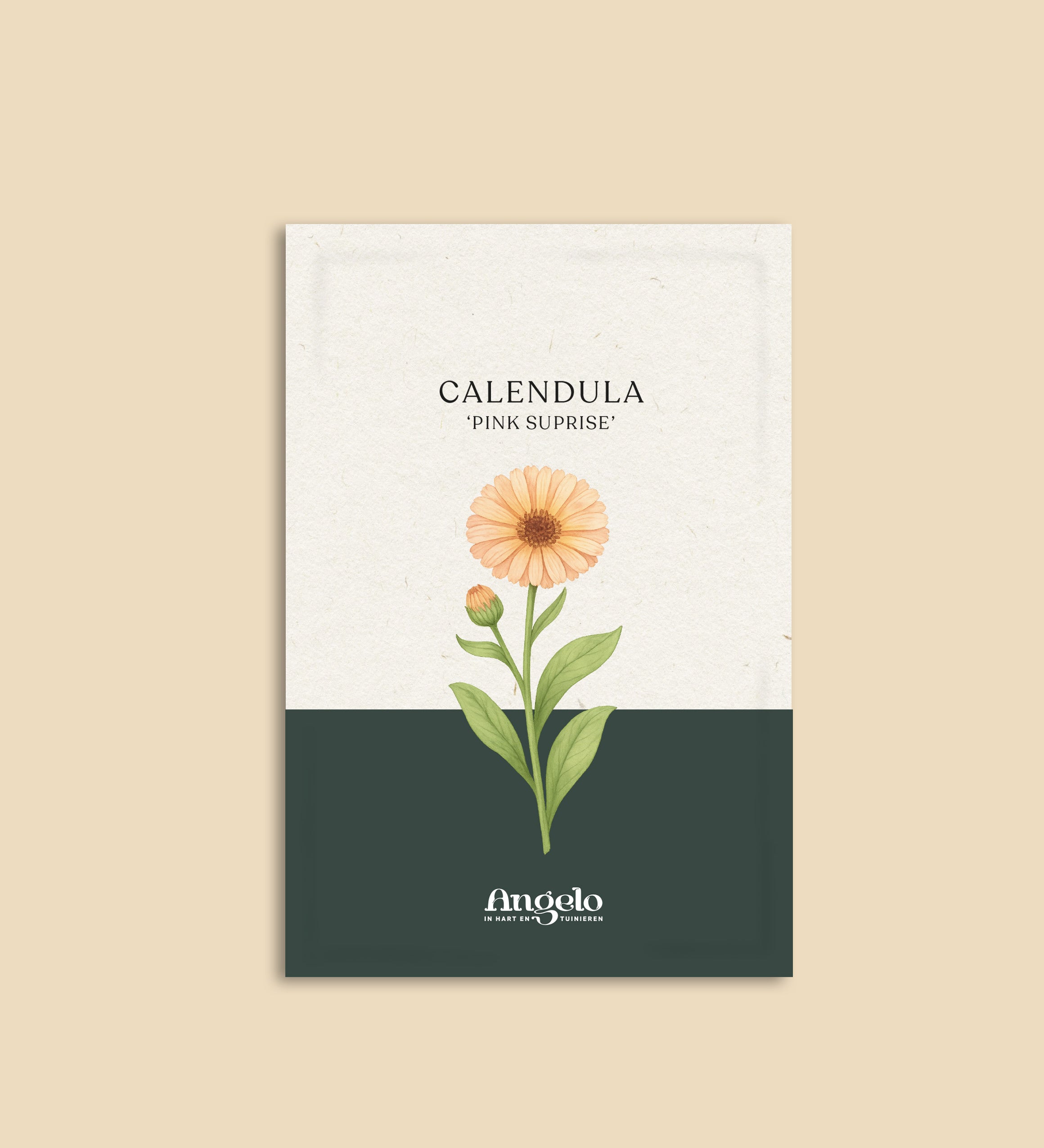 Calendula officinalis 'pink surprise'-Angelo