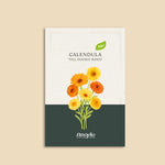 Calendula officinalis 'tall double mixed'-Angelo