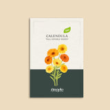 Calendula officinalis 'tall double mixed'-Angelo