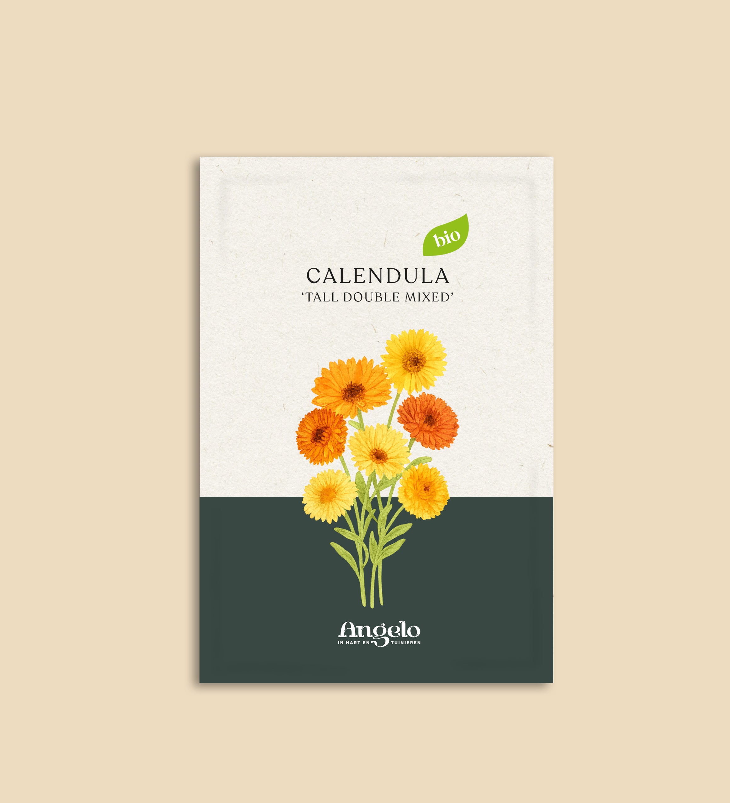 Calendula officinalis 'tall double mixed'-Angelo