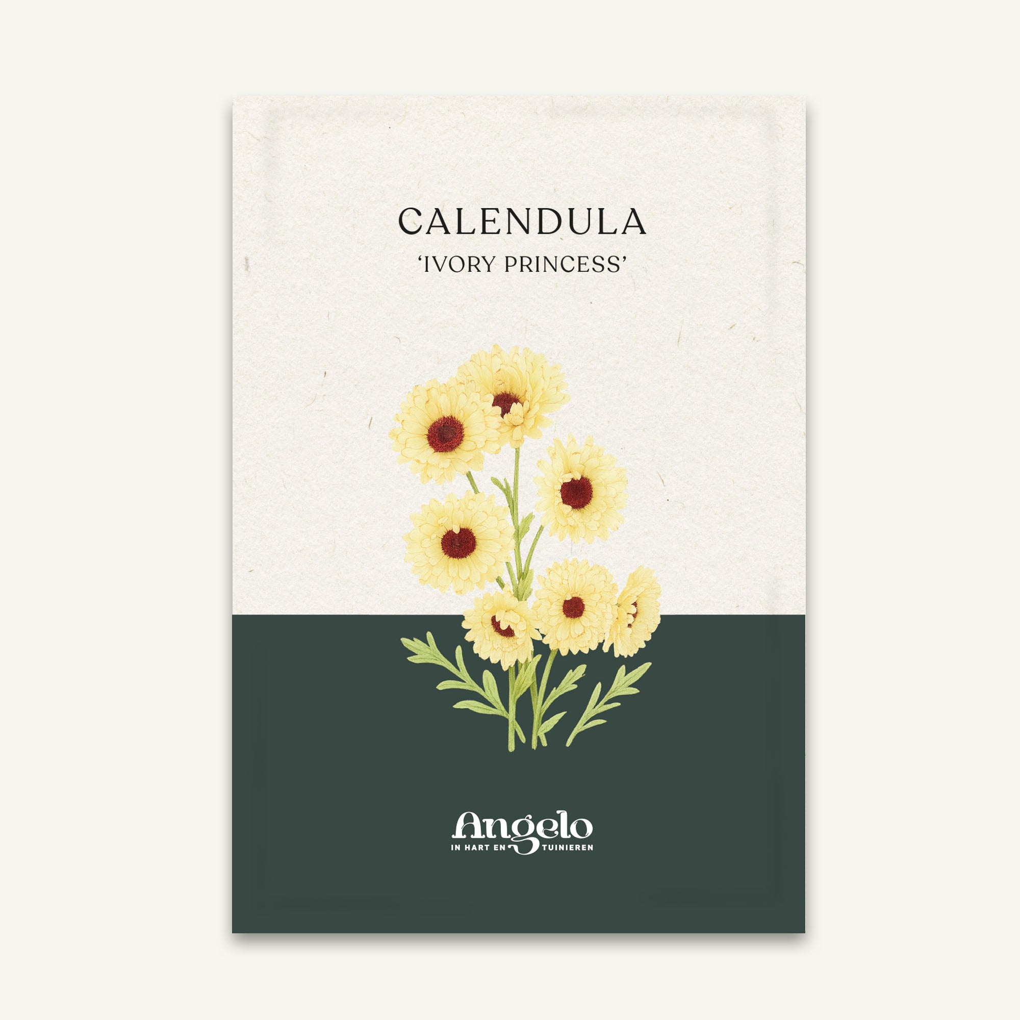 Calendula officinalis 'Ivory Princess' zaadzakje