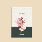 Cosmos bipinnatus 'sea shells mixture'-Angelo