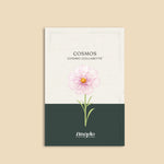 Cosmos bipinnatus 'Cosimo Collarette'-Angelo