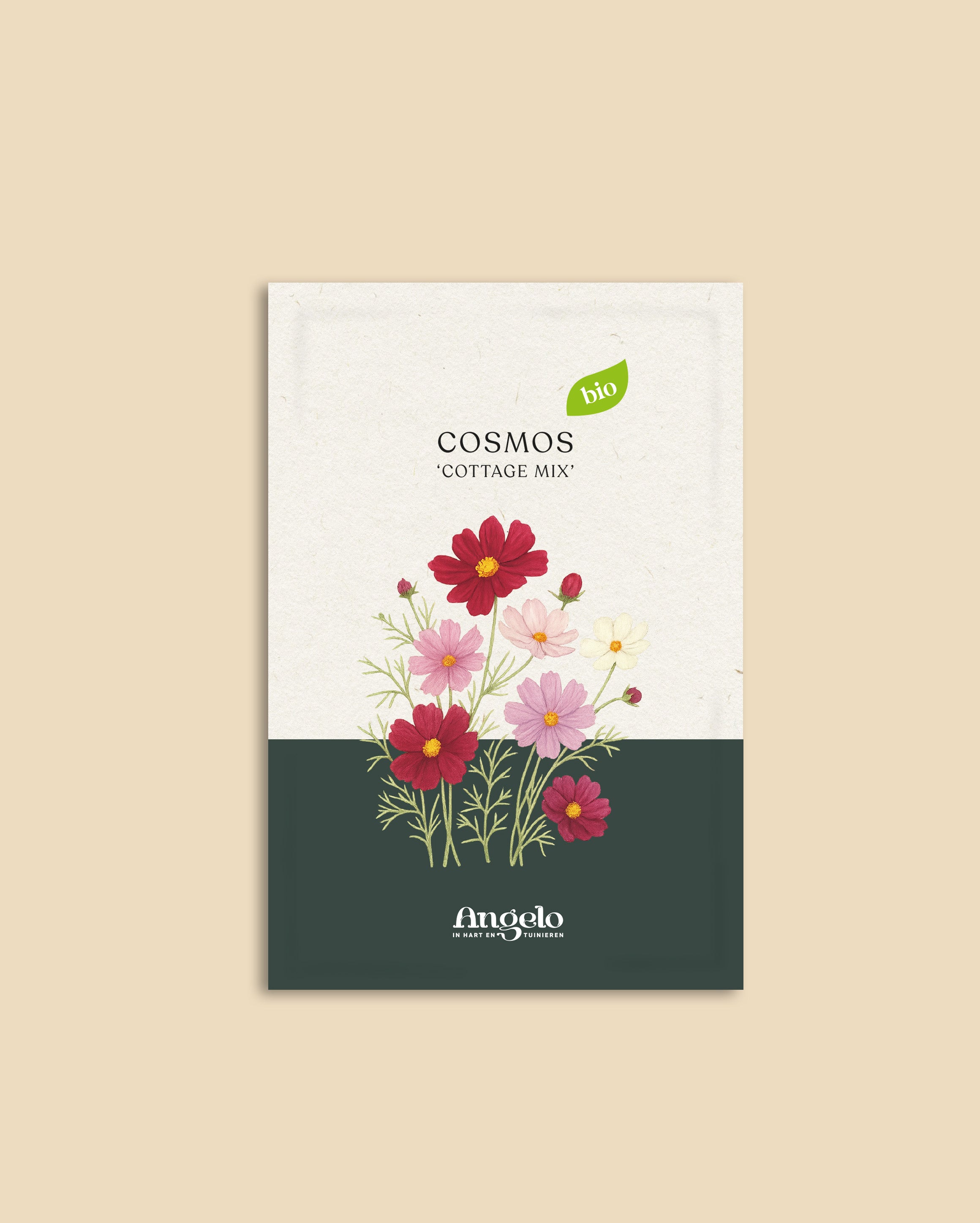 Cosmos bipinnatus 'Cottage Mix'-Angelo