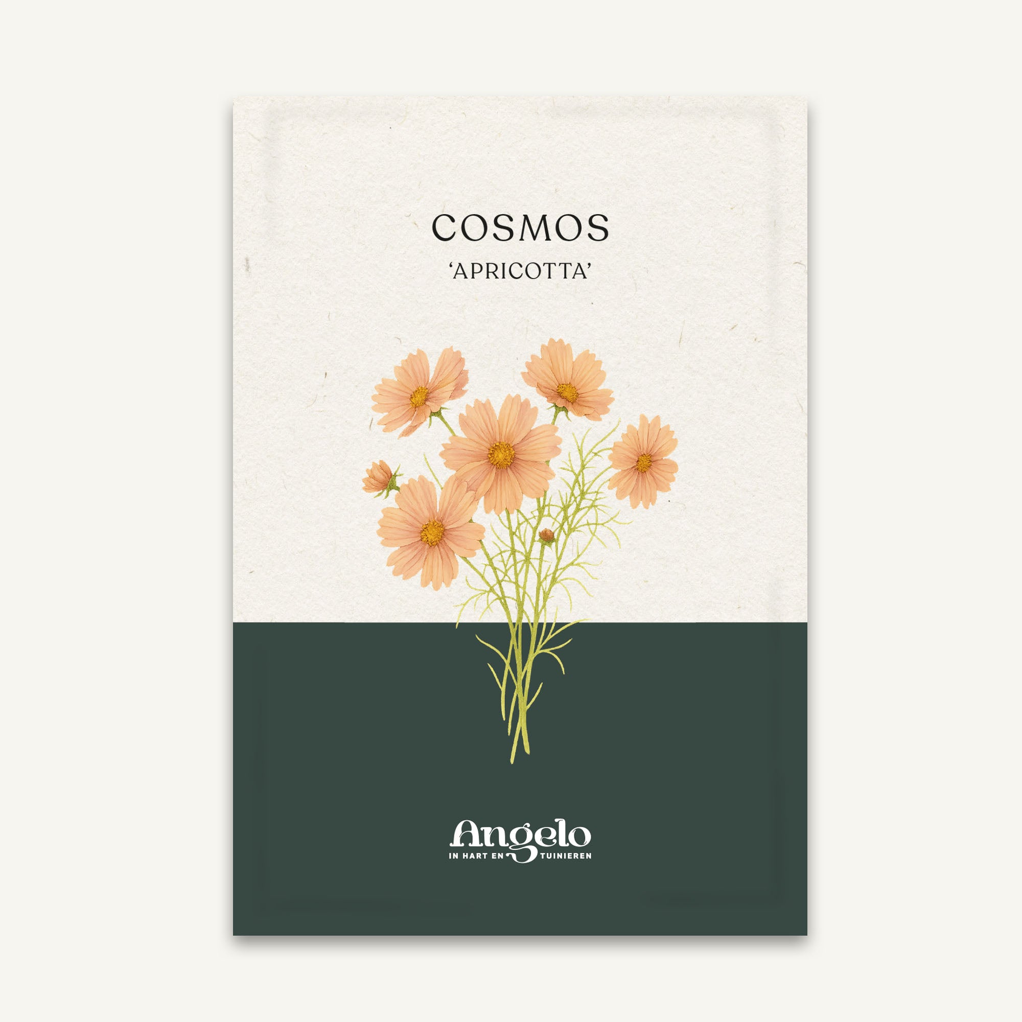 Cosmos bipinnatus 'Apricotta' zaadzakje