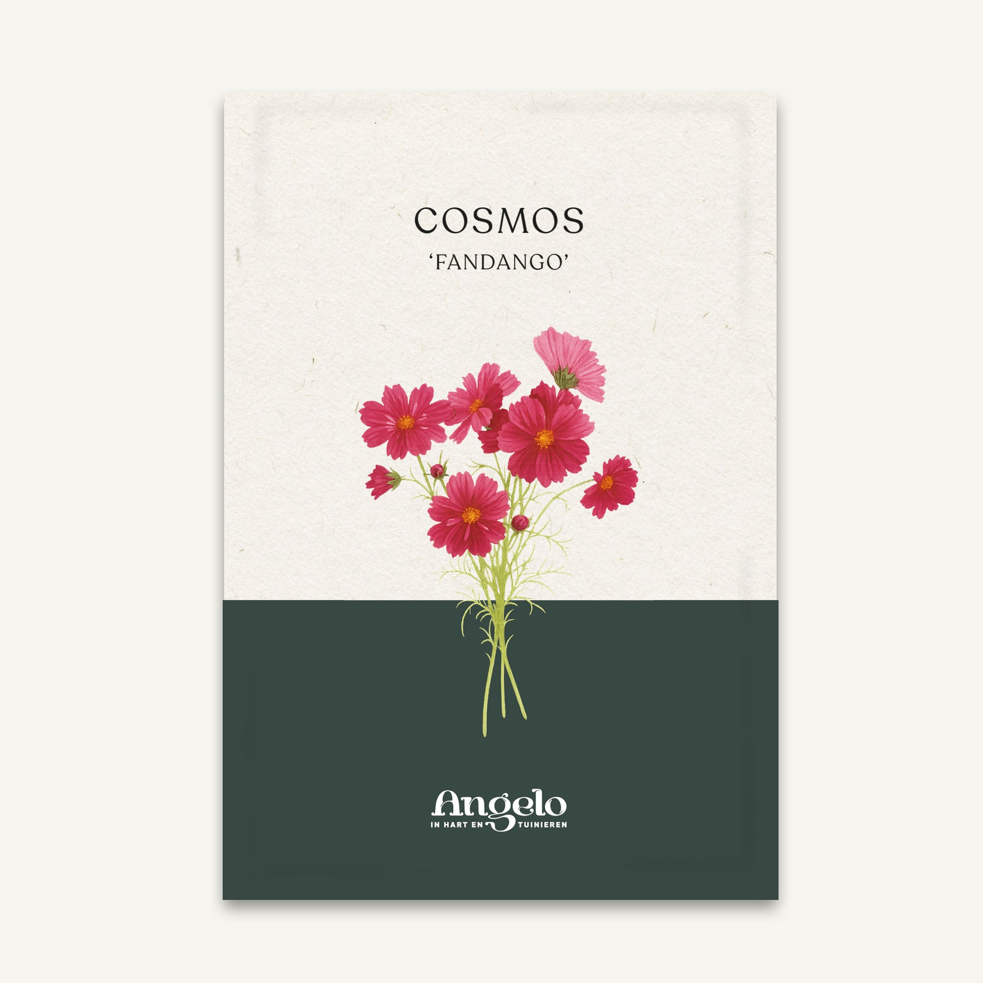 Cosmos bipinnatus 'Fandango' zaadzakje