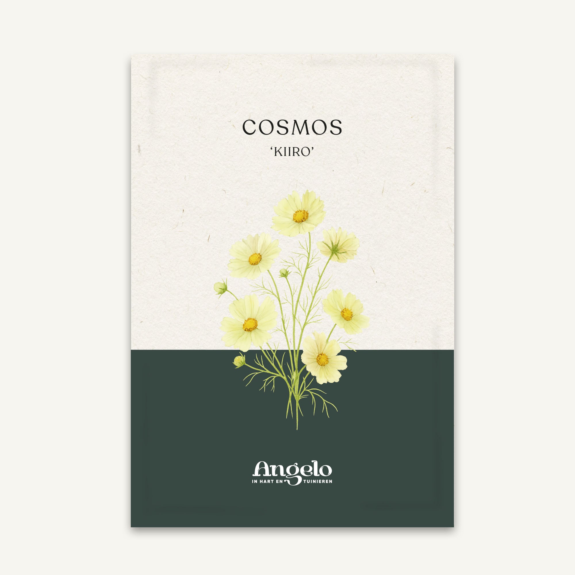 Cosmos bipinnatus 'Kiiro' zaadzakje