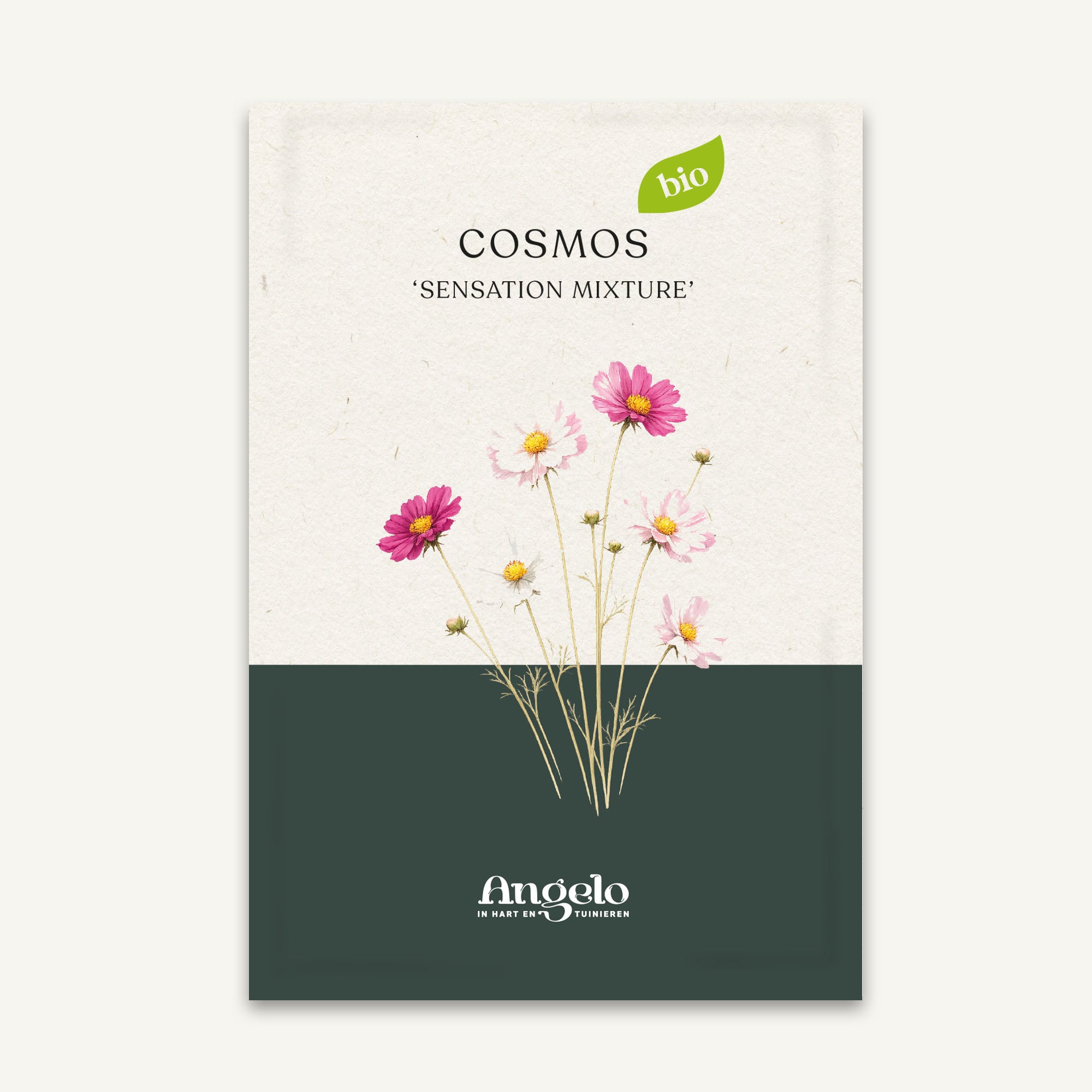 Cosmos bipinnatus 'Sensation Mixture' zaadzakje