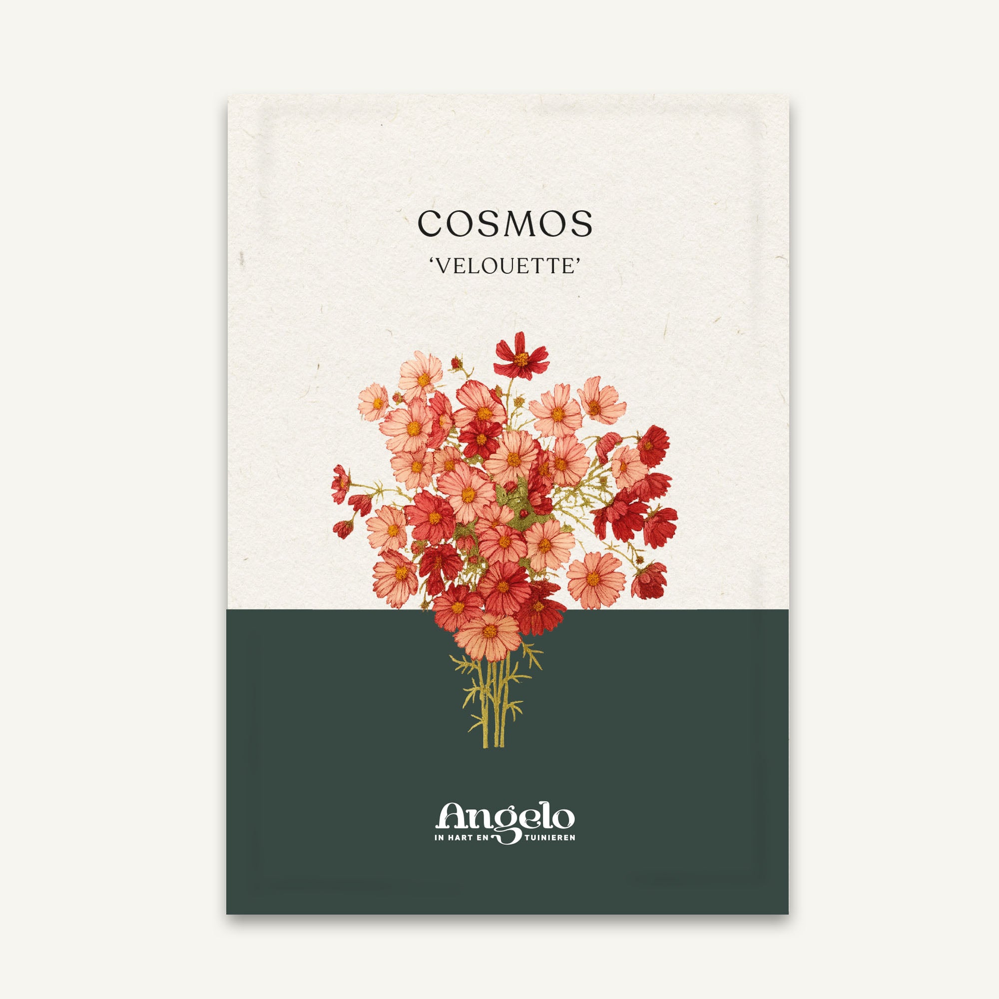 Cosmos bipinnatus 'Velouette' zaadzakje