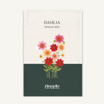 Dahlia hybrida 'Single Mix' zaadzakje
