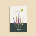 Delphinium consolida 'Imperial Mixed'-Angelo