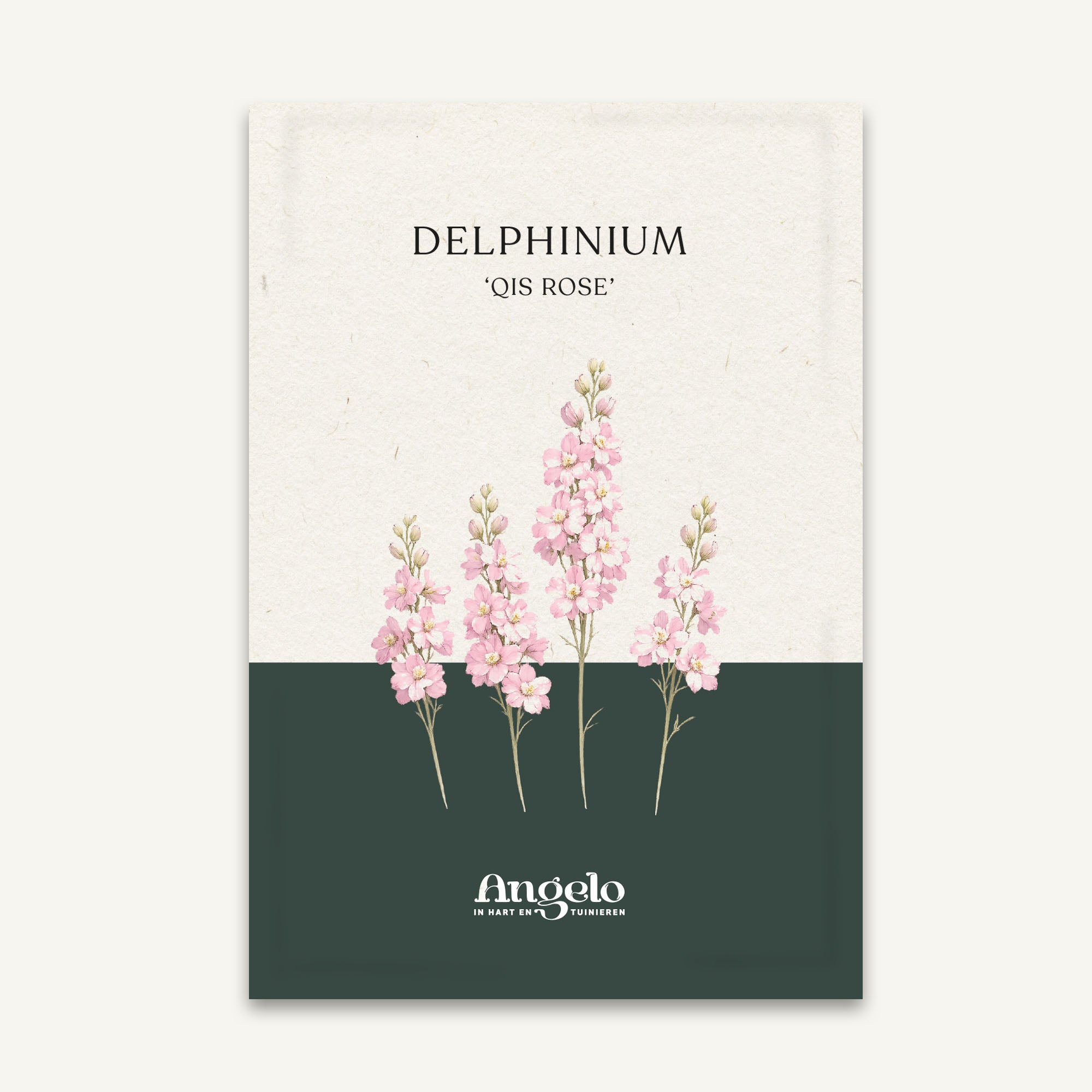 Delphinium consolida 'Qis Rose' zaadzakje