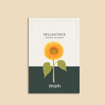 Helianthus annuus 'double sunking'-Angelo