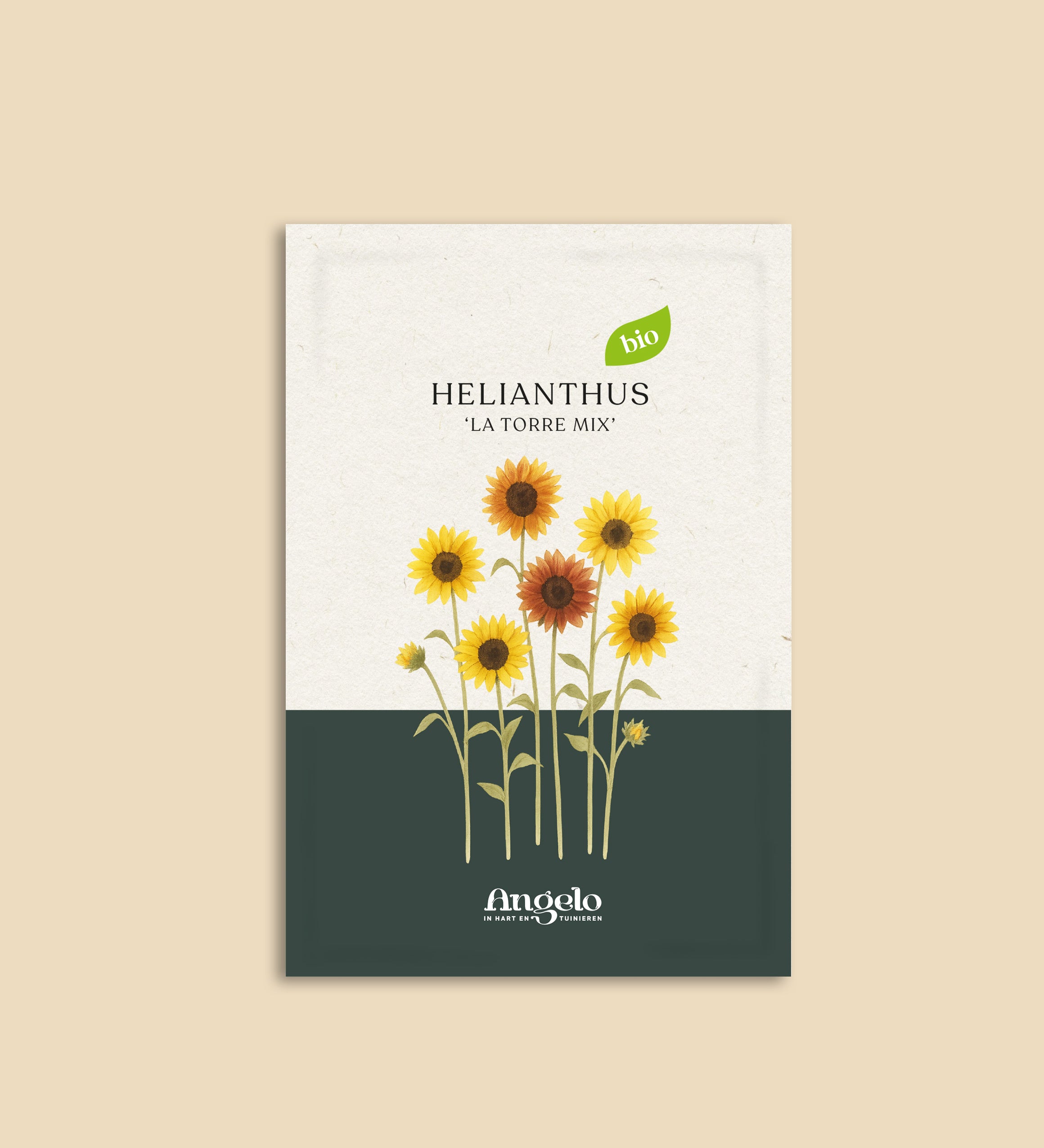 Helianthus annuus 'La Torre mix'-Angelo