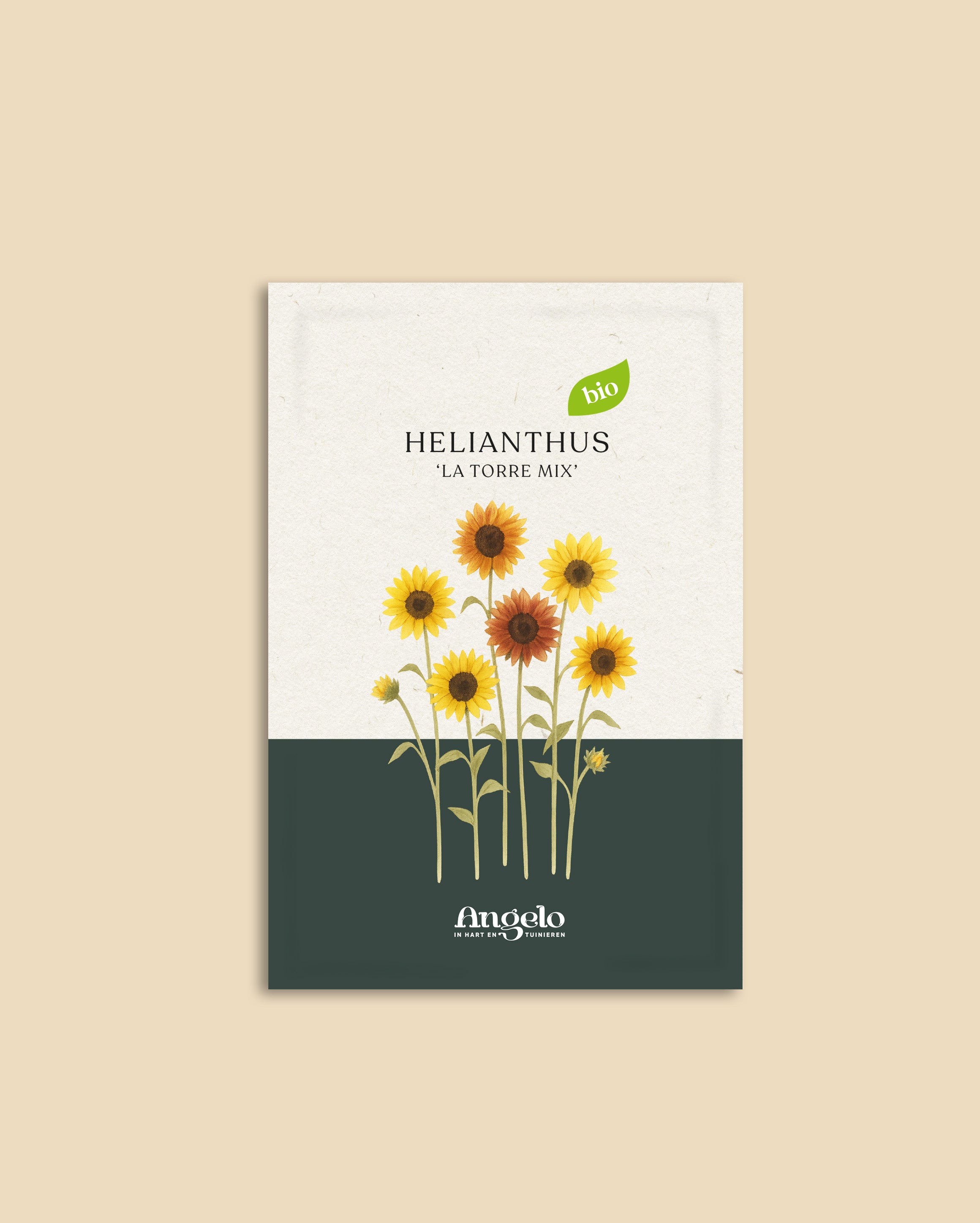 Helianthus annuus 'La Torre mix'-Angelo
