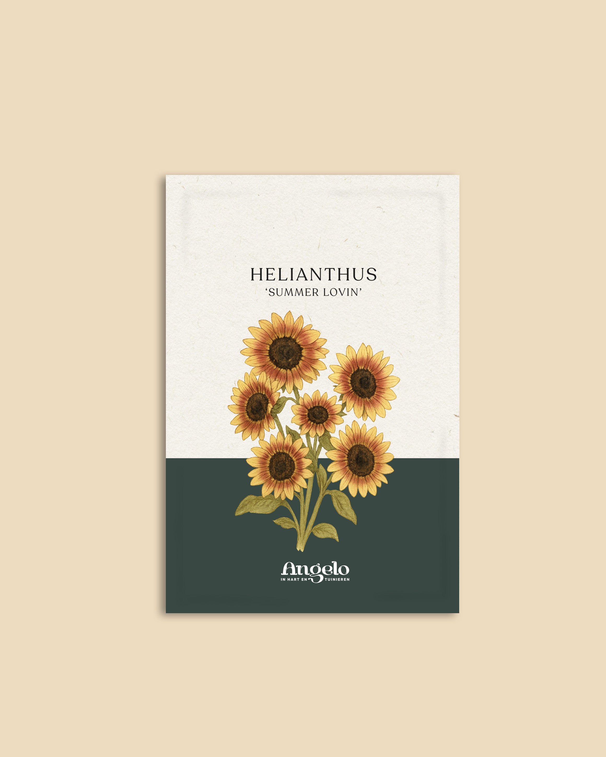 Helianthus annuus 'Summer Lovin'-Angelo