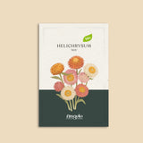 Helichrysum bracteatum 'mix'-Angelo