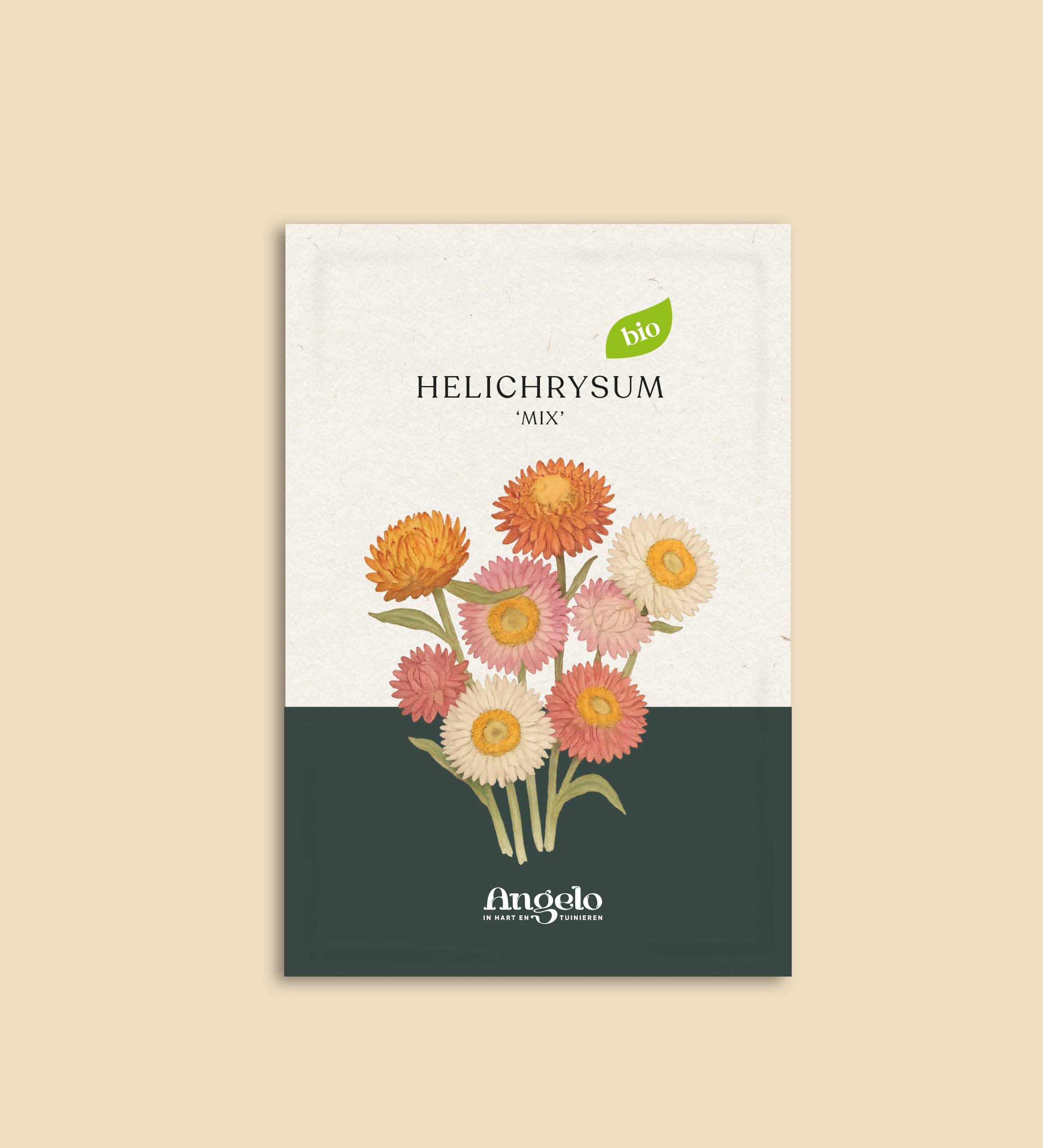 Helichrysum bracteatum 'mix'-Angelo