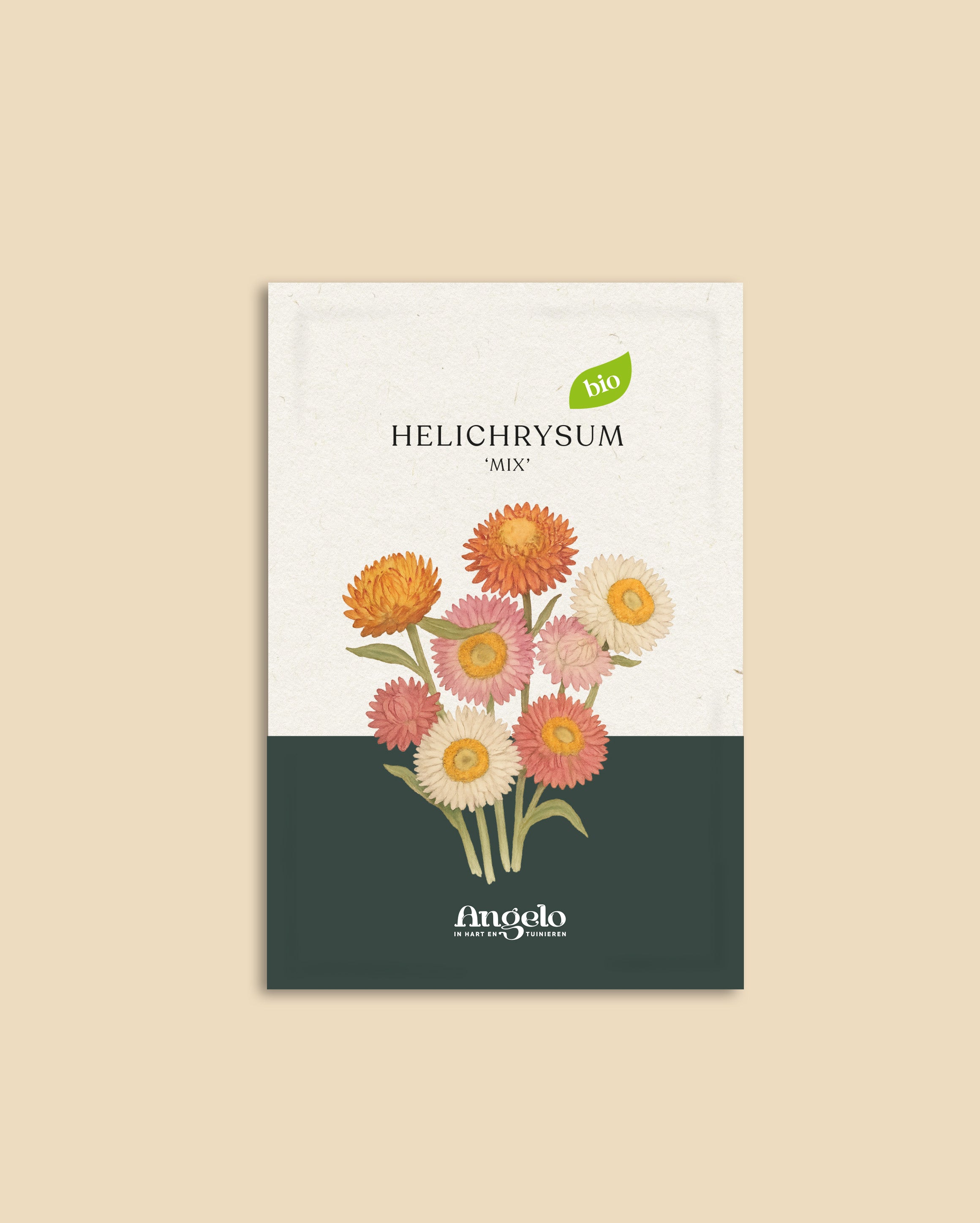 Helichrysum bracteatum 'mix'-Angelo