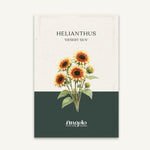 Helianthus annuus 'Desert Sun' zaadzakje