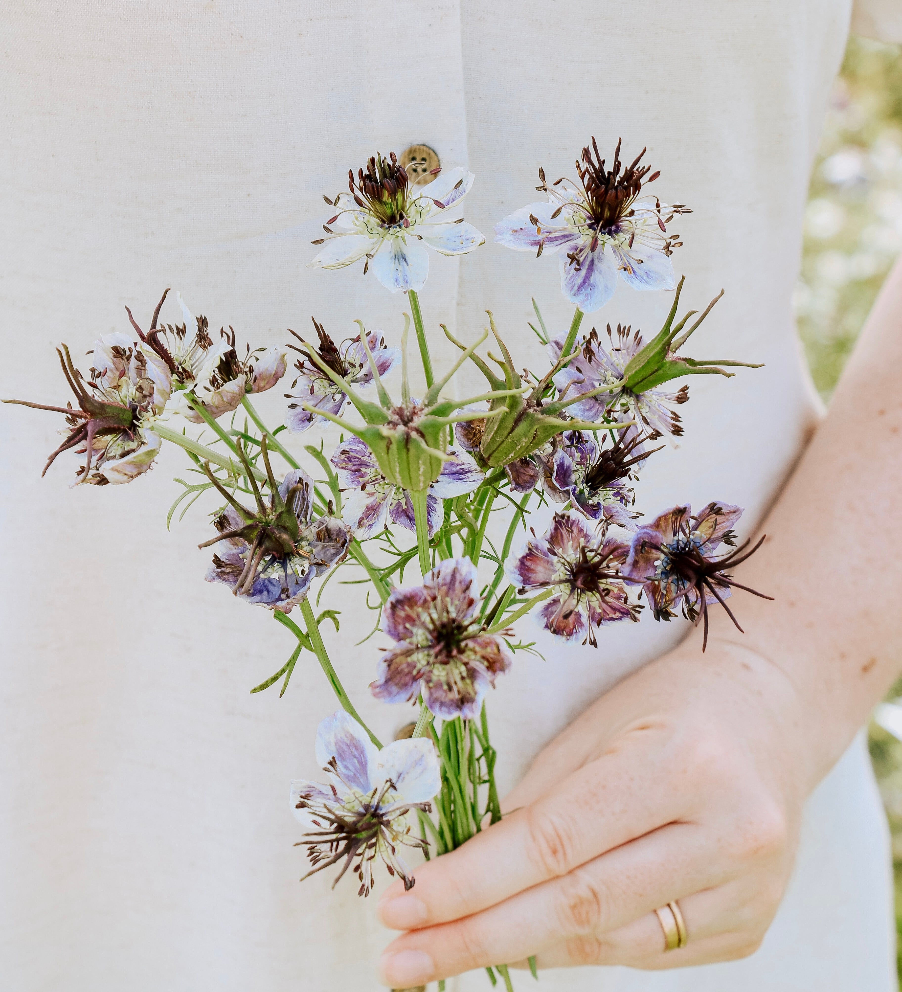Nigella damascena 'Delft Blue'-Angelo