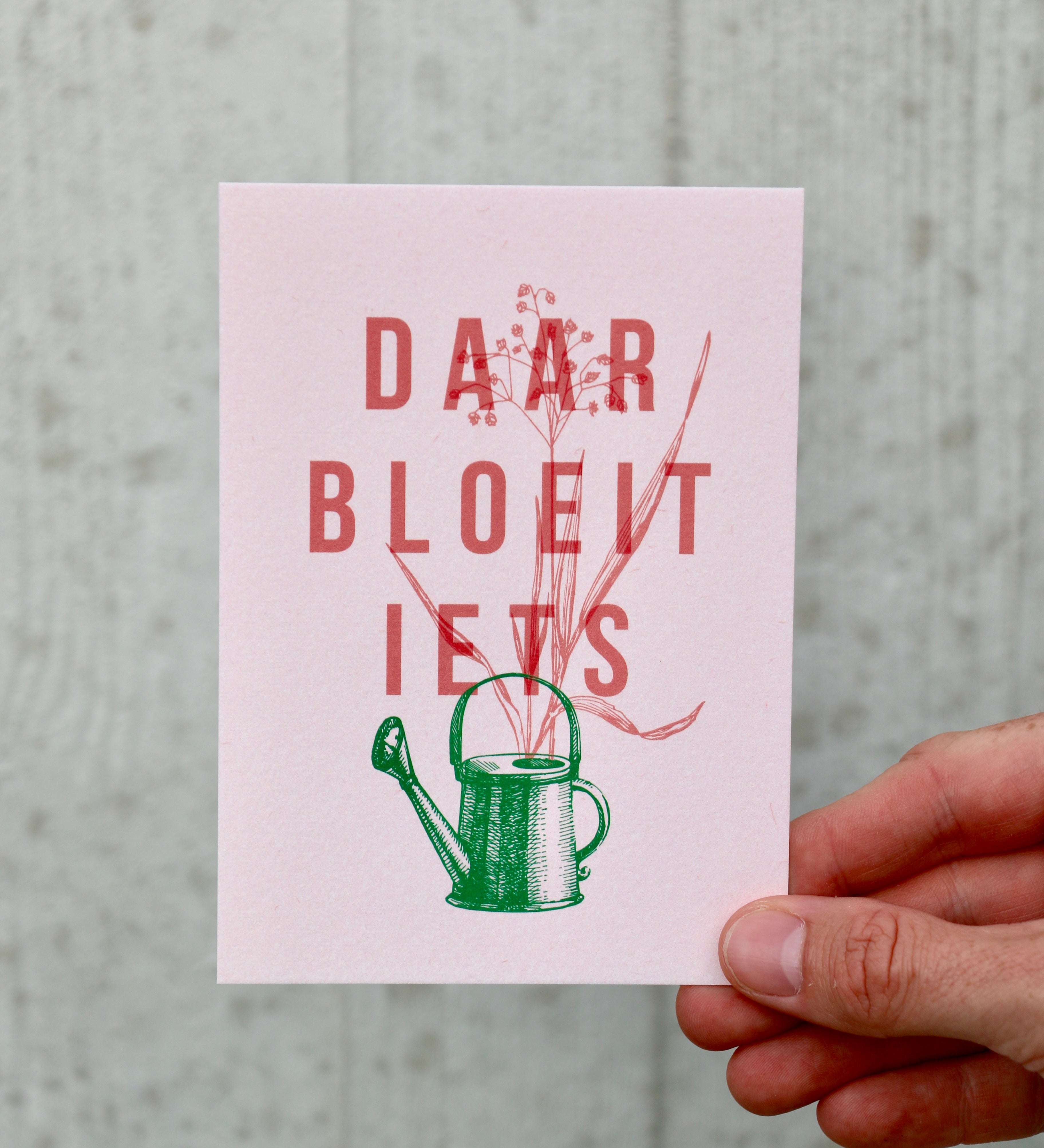 Kaartje