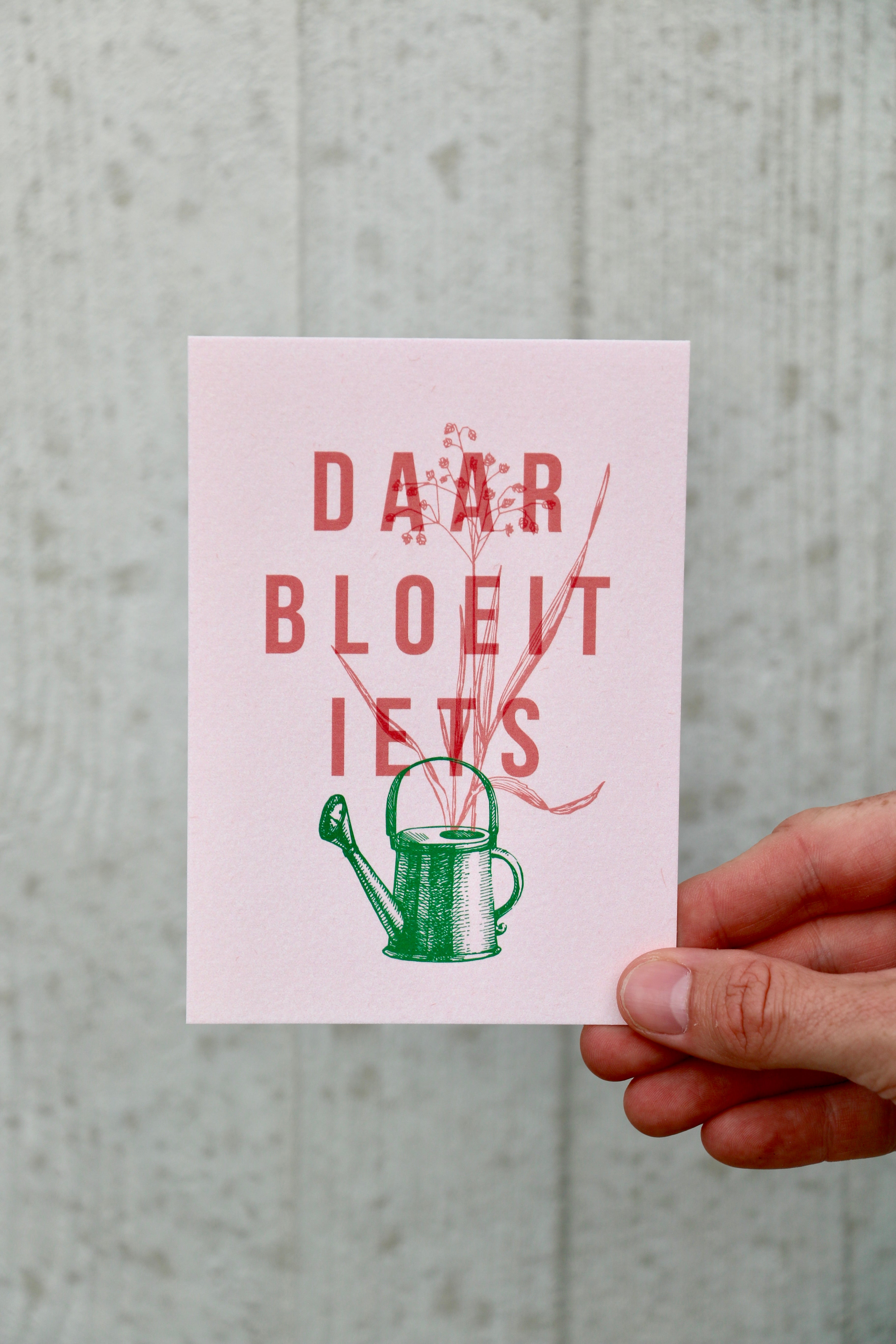 Kaartje