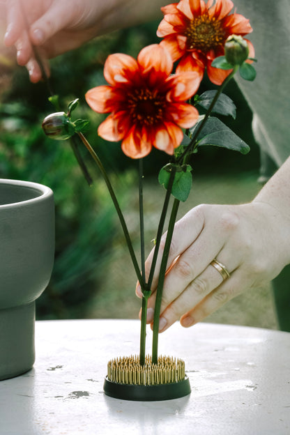 Hanataba - flower picker