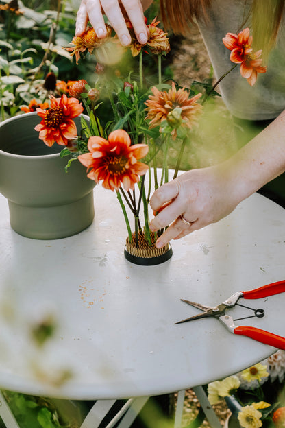 Hanataba - flower picker