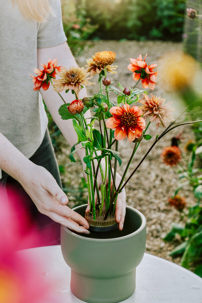 Hanataba - flower picker