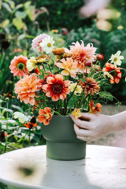 Hanataba - flower picker