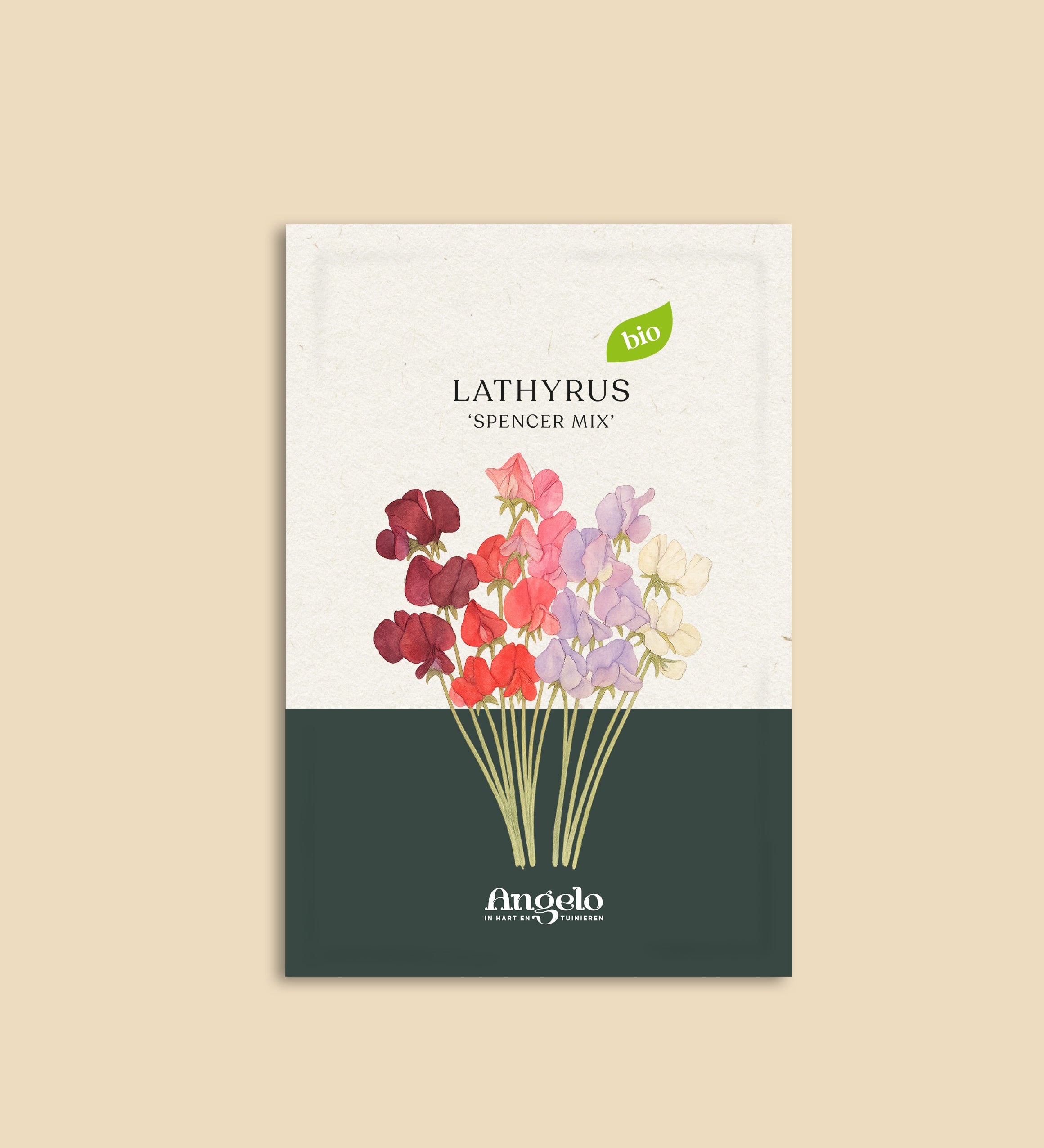 Lathyrus odoratus 'Spencer Mix'-Angelo
