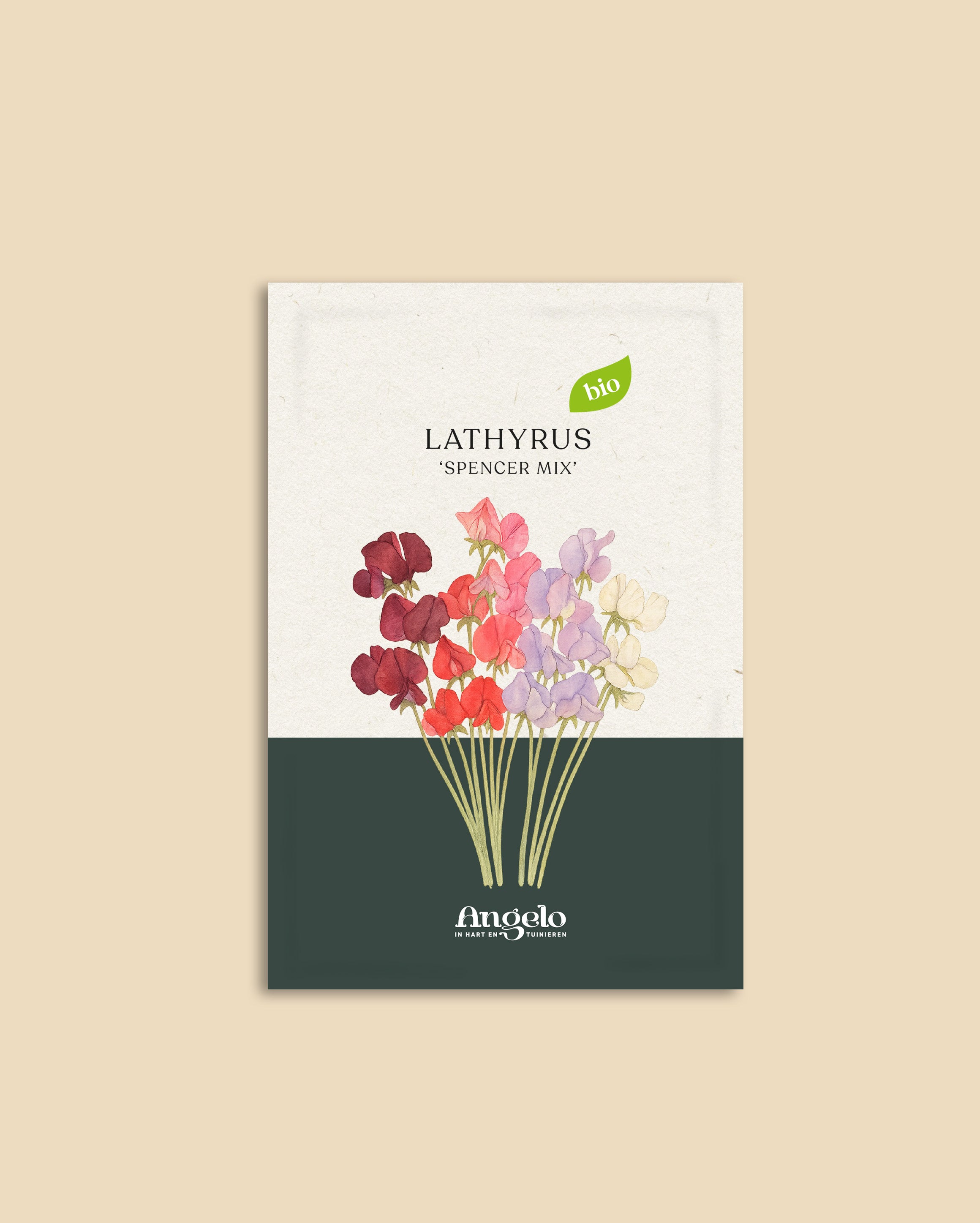 Lathyrus odoratus 'Spencer Mix'-Angelo