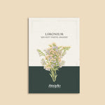 Limonium sinuatum 'qis soft pastel shades'-Angelo