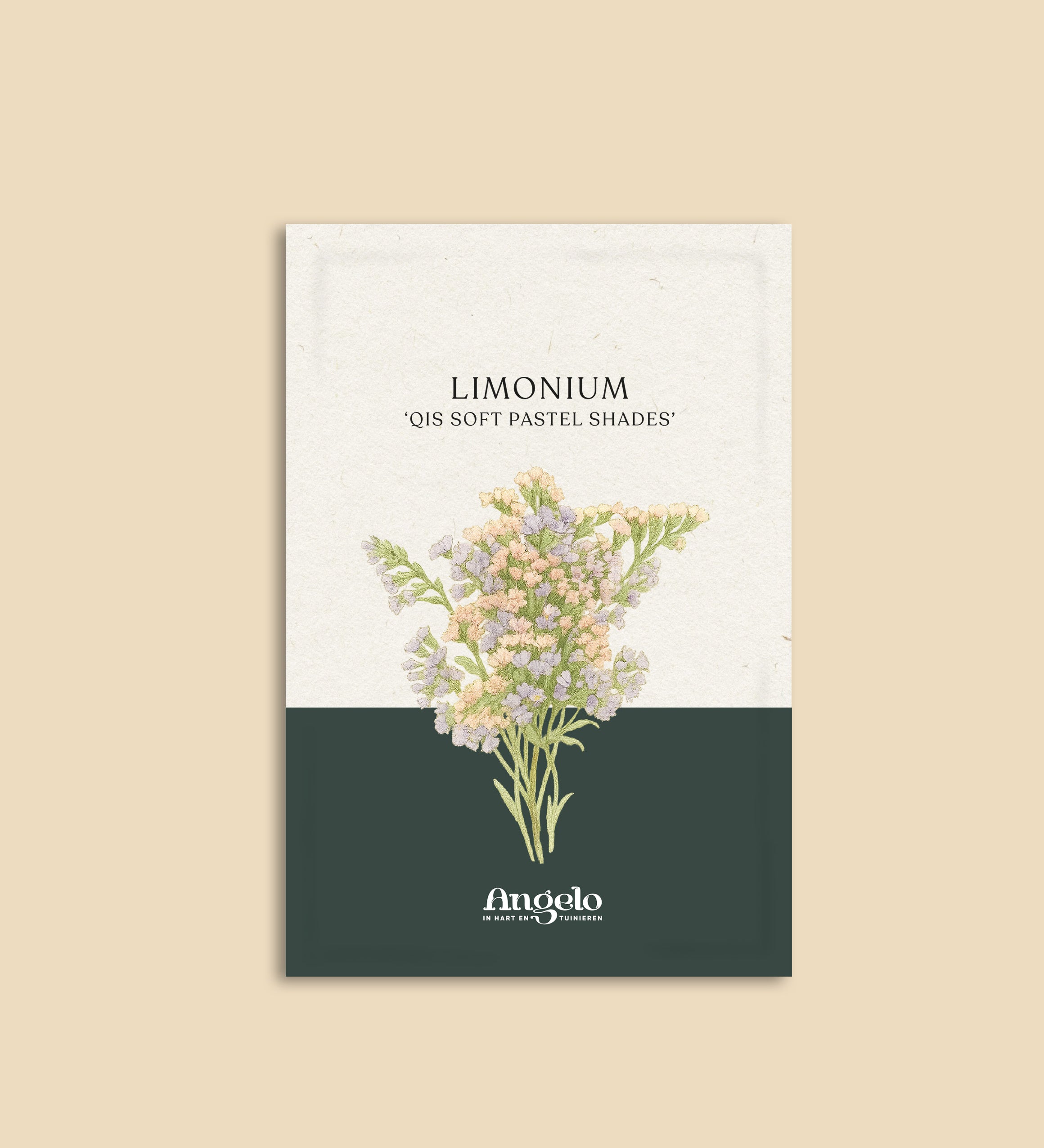 Limonium sinuatum 'qis soft pastel shades'-Angelo