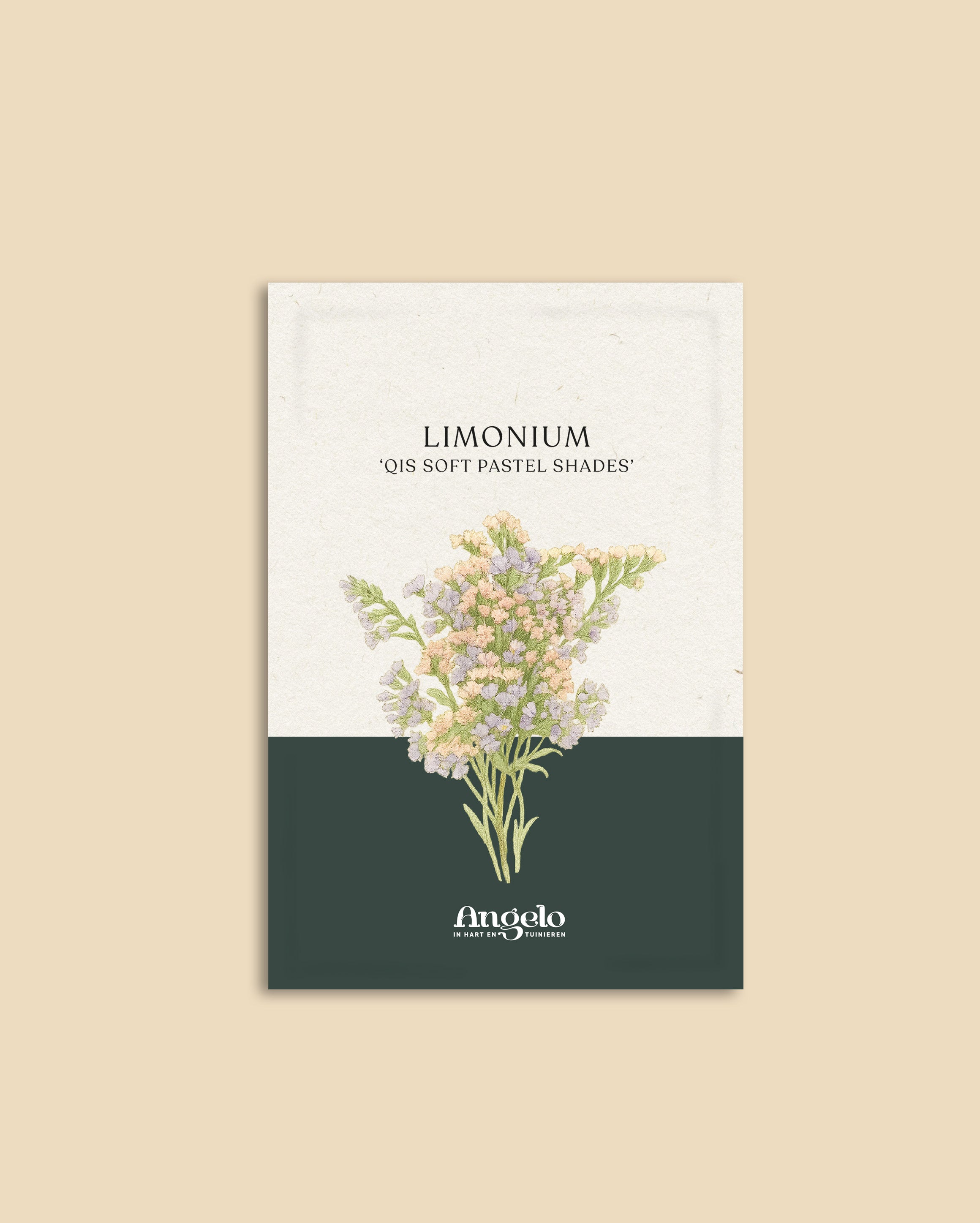 Limonium sinuatum 'qis soft pastel shades'-Angelo