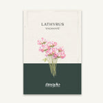 Lathyrus odoratus 'Enchanté' zaadzakje
