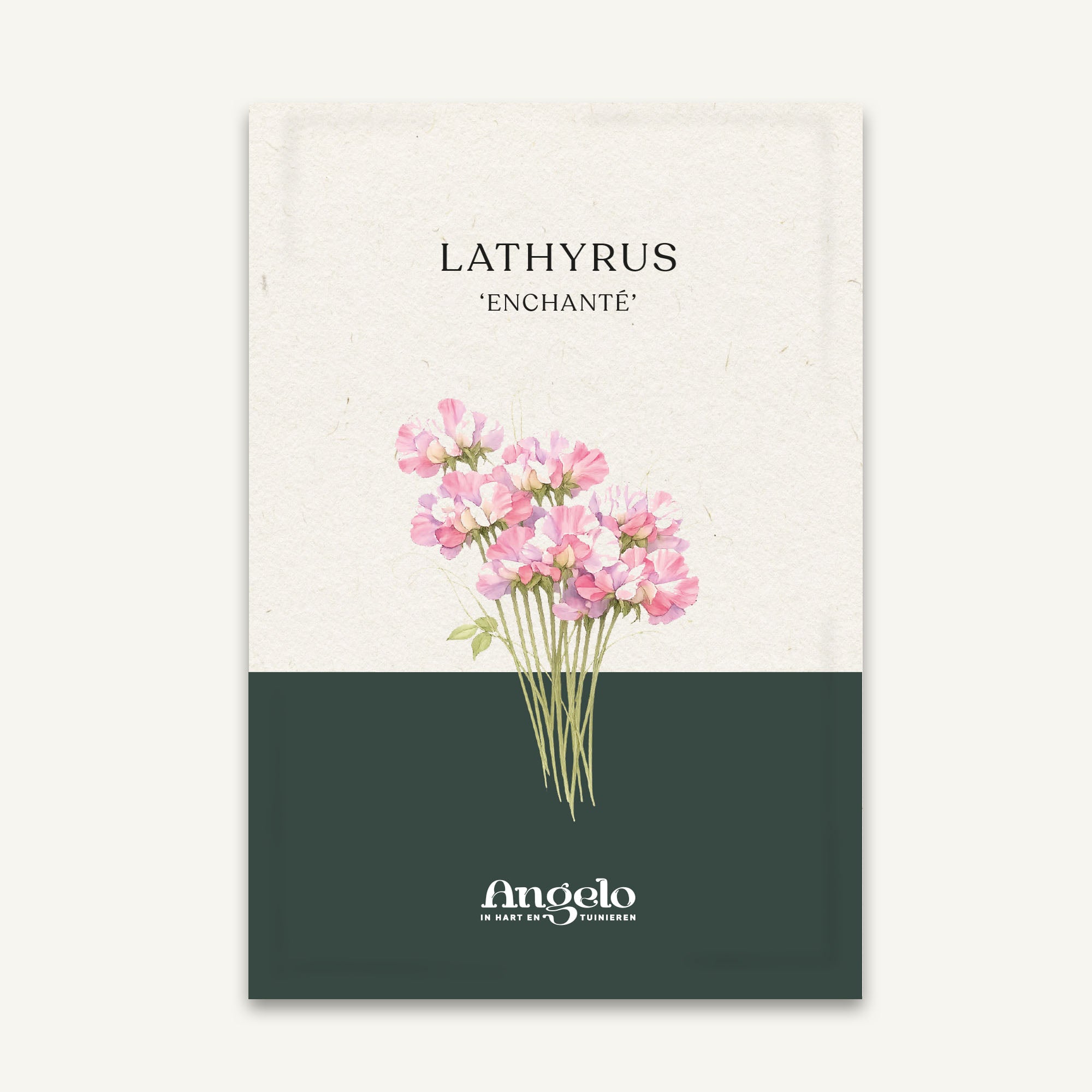 Lathyrus odoratus 'Enchanté' zaadzakje