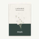 Lathyrus odoratus 'Spencer Pulsar' zaadzakje