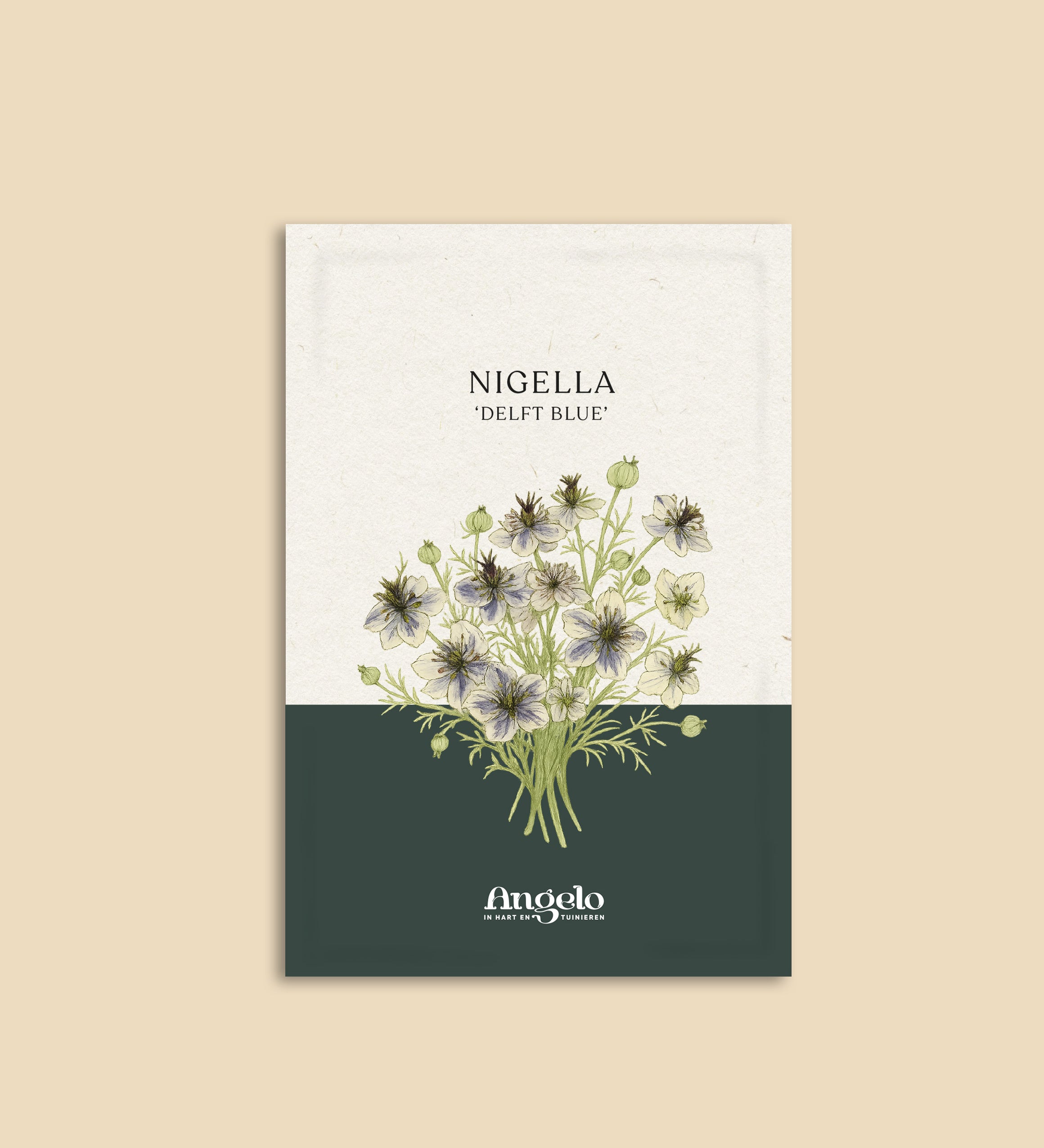Nigella damascena 'Delft Blue'-Angelo