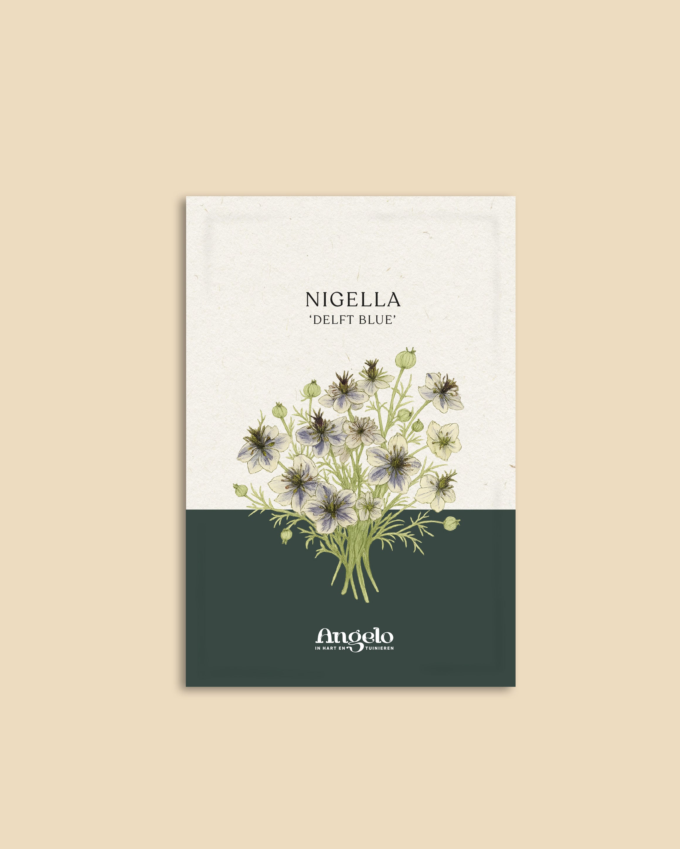 Nigella damascena 'Delft Blue'-Angelo