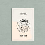 Tomaat 'Green Zebra'